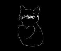 MEOW :3