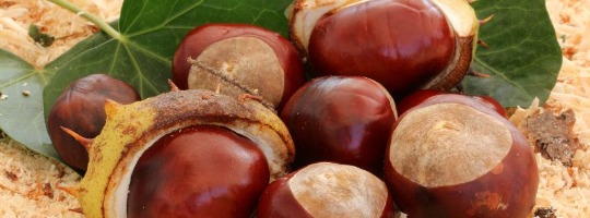 Lúc buồn