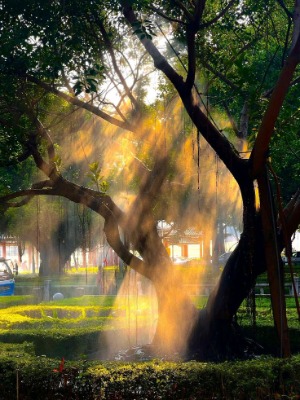 Vạt nắng cuối trời