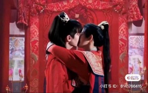 [Diệp Bách] Mộng Đoạn Tâm Hoa