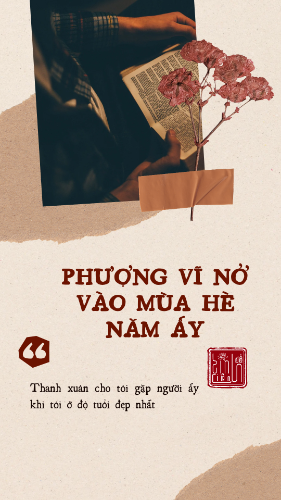 Phượng Vĩ nở vào mùa hè năm ấy